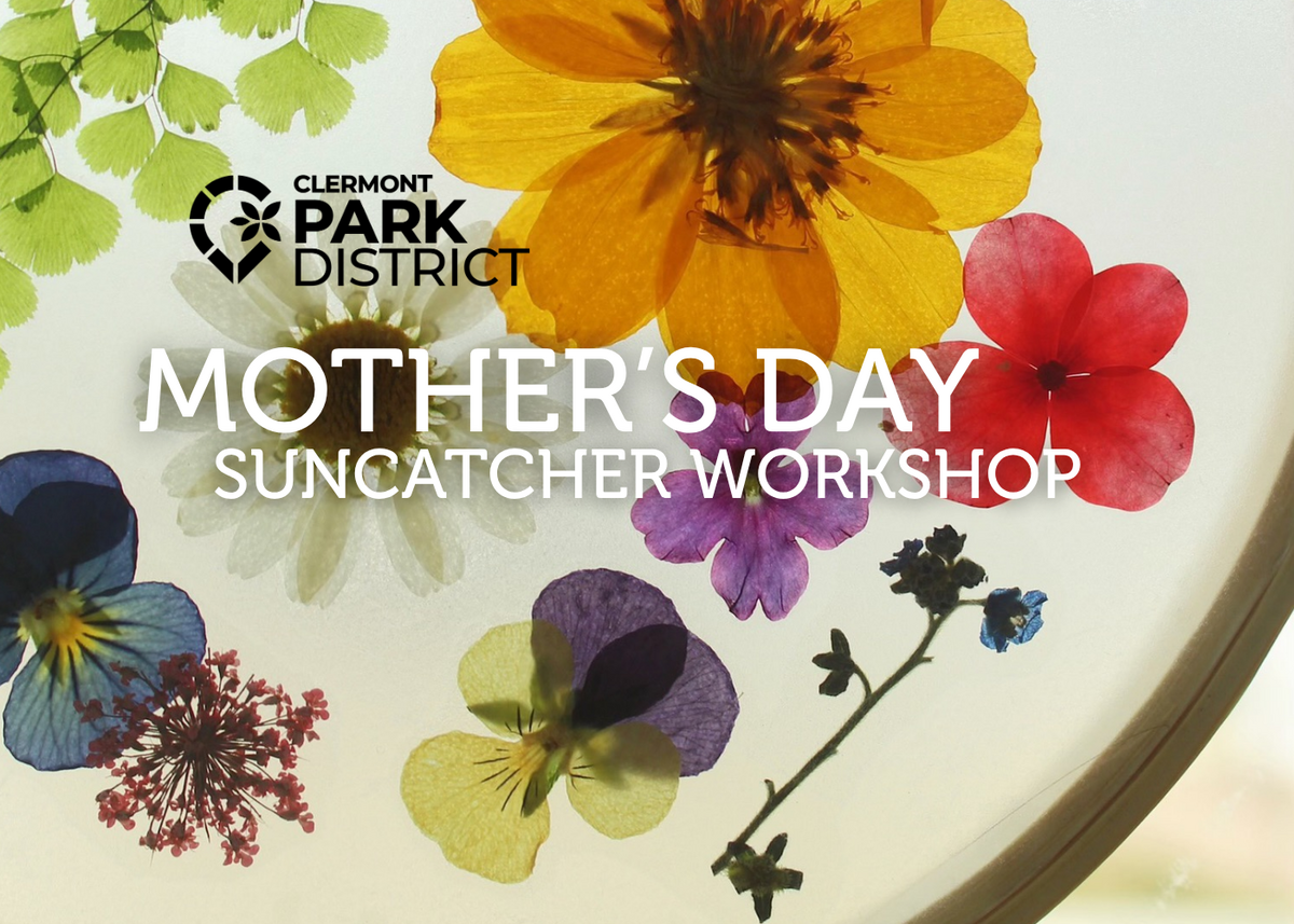 Mothers day suncatcher workshop, pressed flowers in handmade suncatcher frame